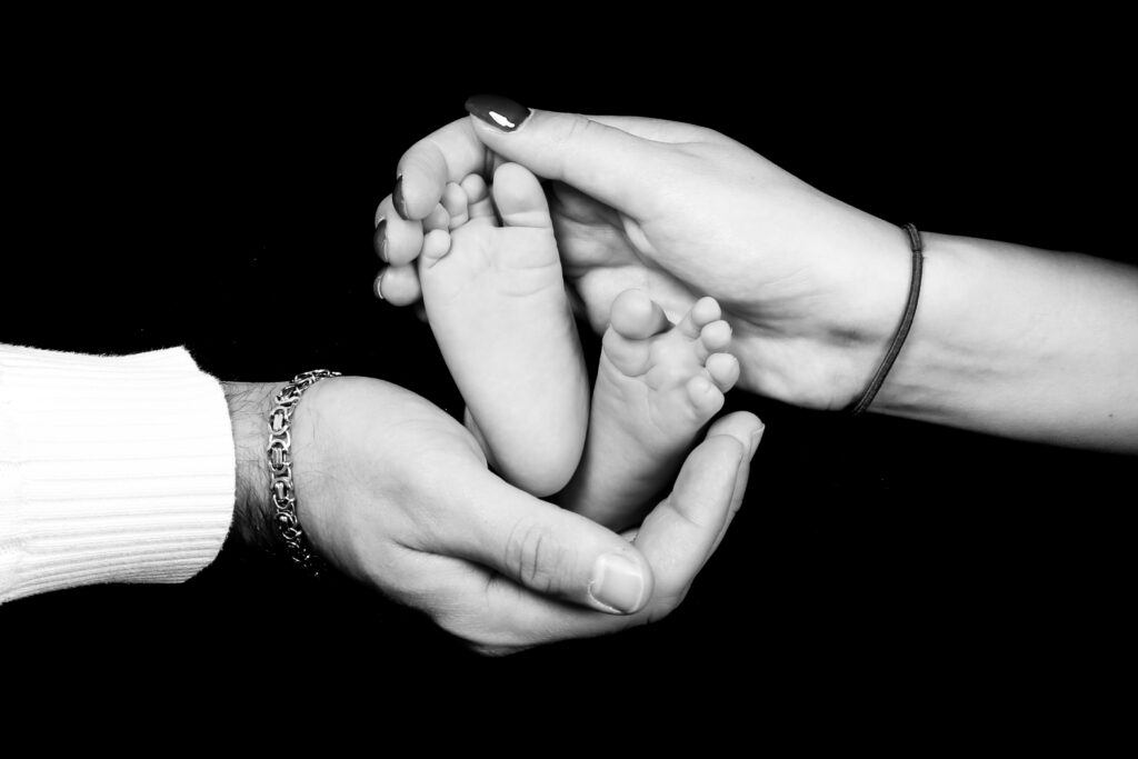 IMG_3325 IMG_3325